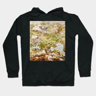 Yellowstone National Park Hoodie